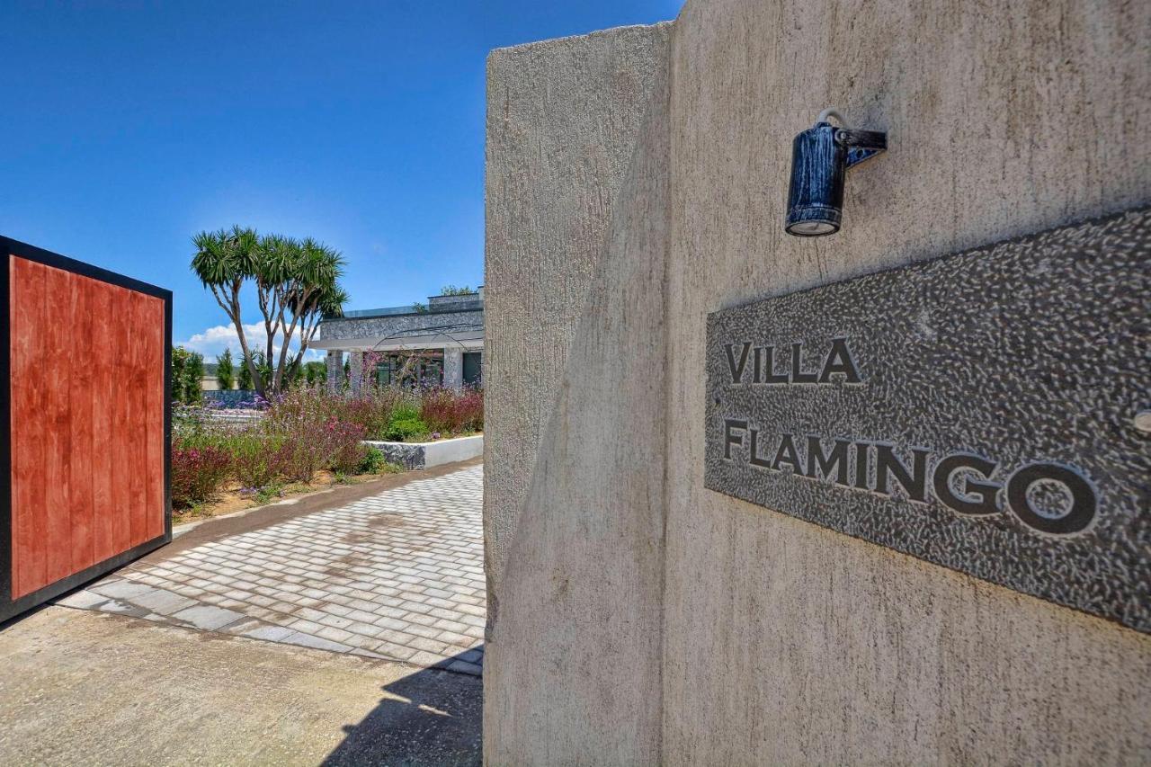 Villa Flamingo - 4 Bedrooms - Private Pool - Next To Renowned Issos Beach & Lake Korission Línia Exterior foto